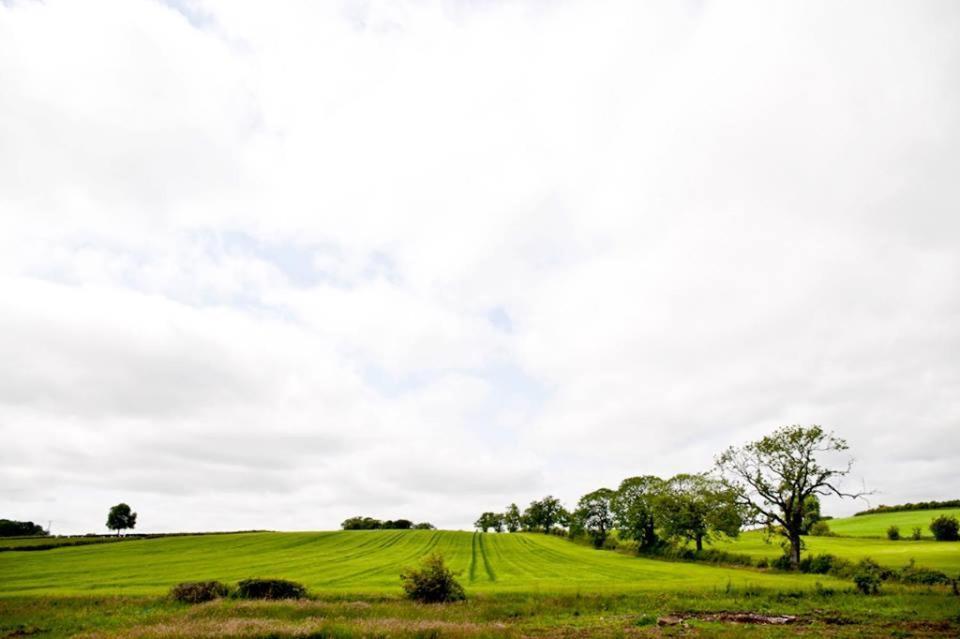 Bamflatt Farm Bed & Breakfast Strathaven Szoba fotó